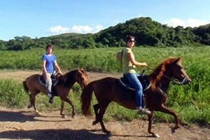 Welcome to Tropical Trail Rides