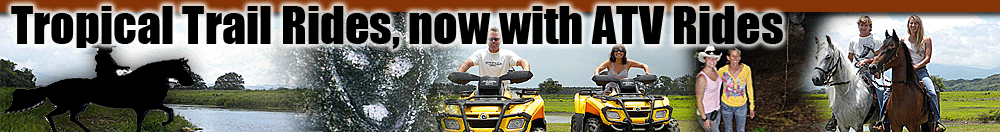 Welcome to Tropical Trail Rides.com